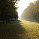 autumn alley source image